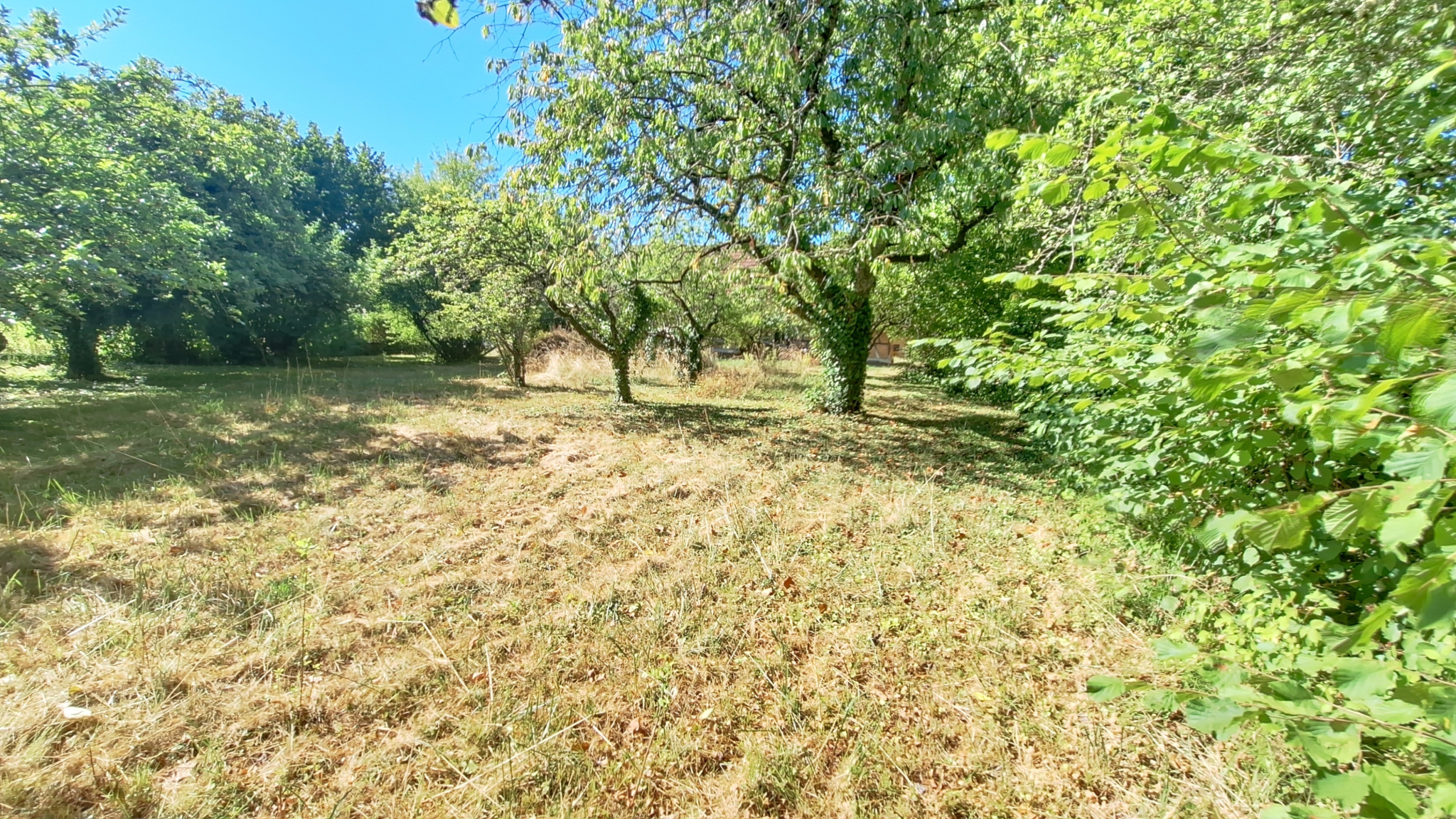 Terrain — Saint-Germain-du-Bois